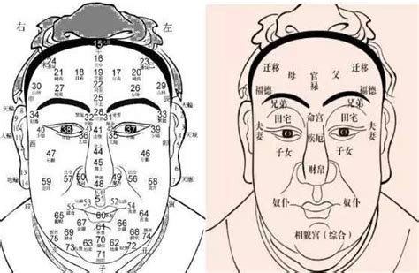 鼻樑 面相|鼻樑骨突出面相是好是壞，看相學怎麼說